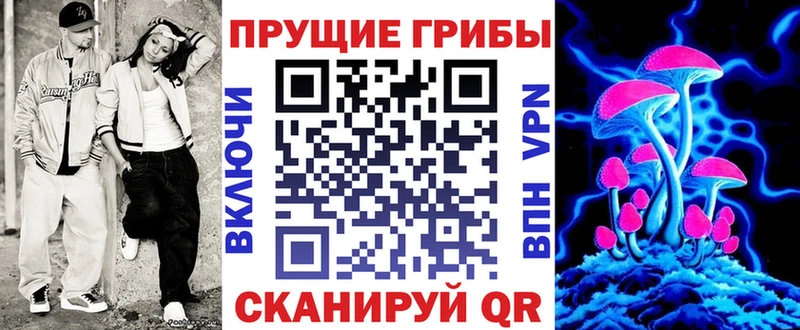 дарнет шоп  Кашира  Псилоцибиновые грибы ЛСД 